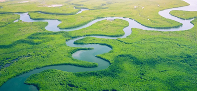 Revolucioniranje poljoprivrednog navodnjavanja: uloga PVC cijevi i spojnih dijelova